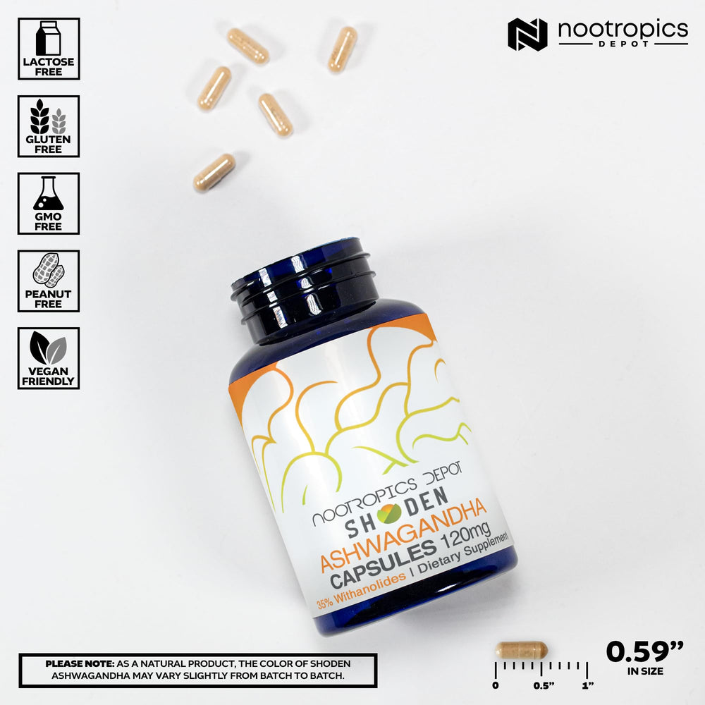 Nootropics Depot Shoden Ashwagandha packaging box displays dosage and full-spectrum profile.
