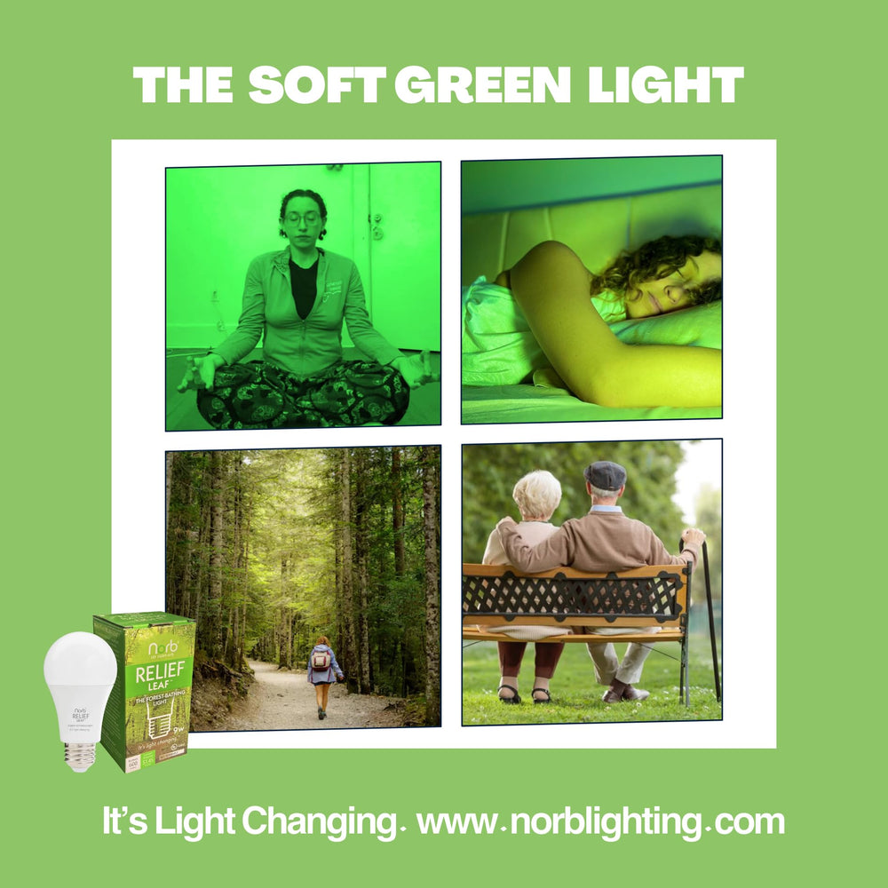 Norb Relief Leaf ready for a meditation session with calming lighting.