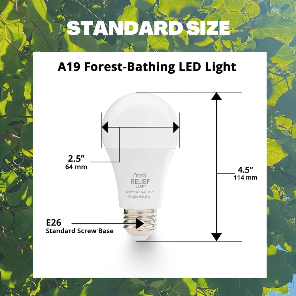 Norb Relief Leaf integrated into a morning routine for balanced lighting.