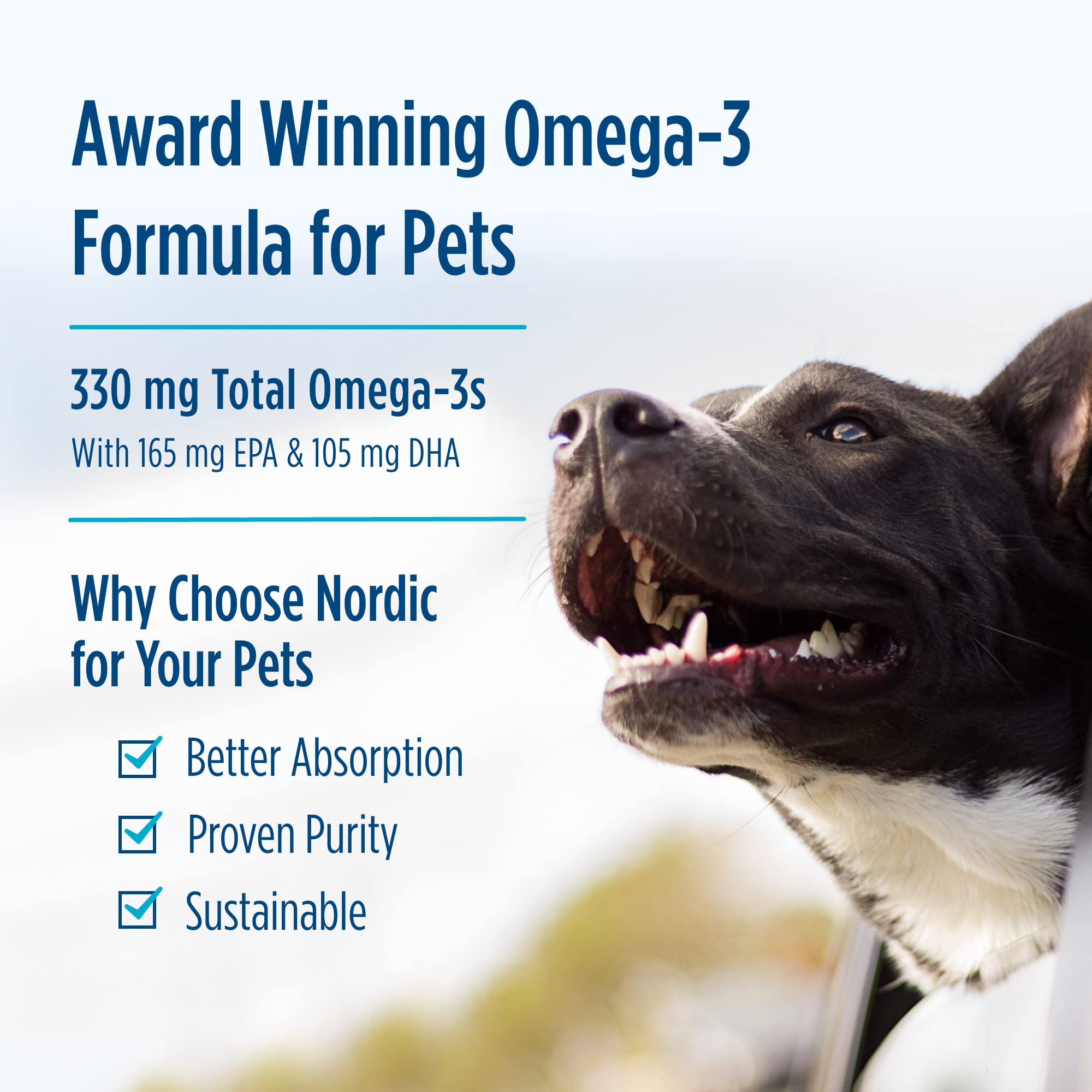 Dog with Nordic Naturals Omega-3 Pet supports daily wellness routine.