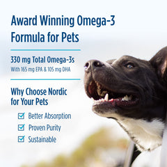 Dog with Nordic Naturals Omega-3 Pet supports daily wellness routine.