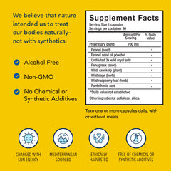 ActiFEM wild kelp image emphasizing mineral support.