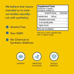 North American Herb & Spice Ashadrene capsules being poured for easy daily dosing