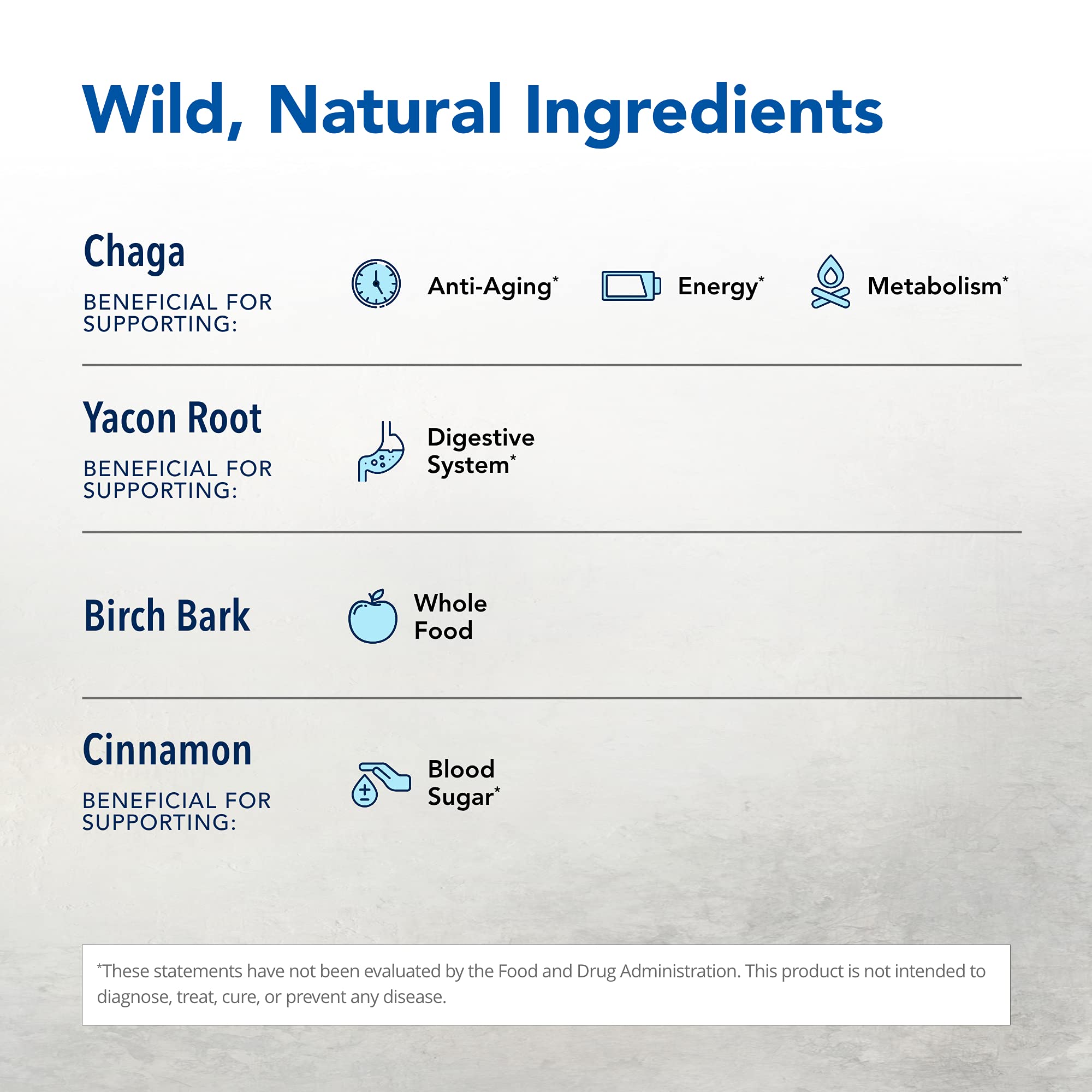 Close-up of chaga mushroom powder, rich in natural nutrients.