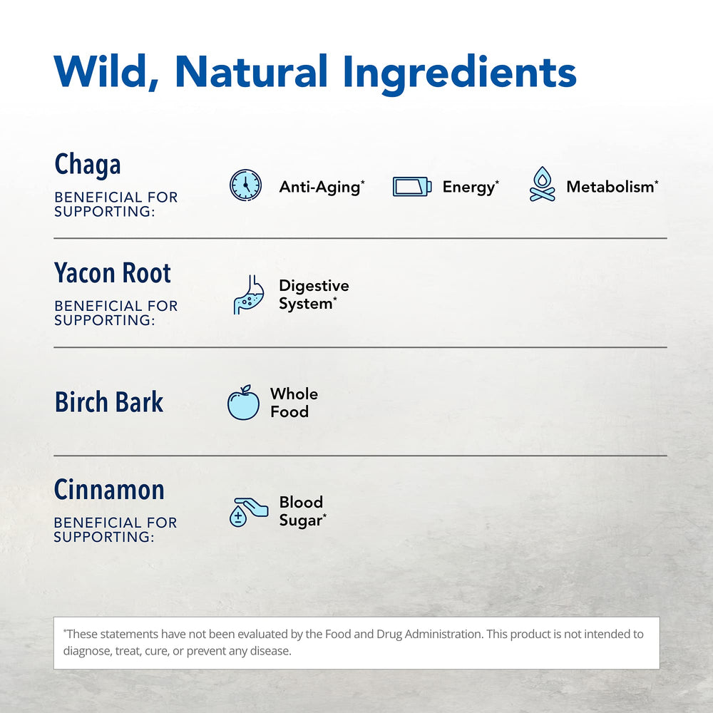 Close-up of chaga mushroom powder, rich in natural nutrients.
