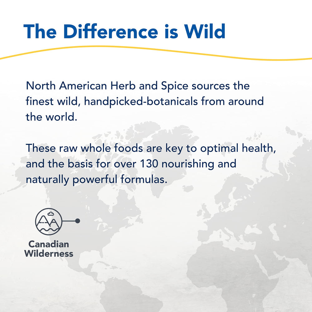 Hot tea steeping image communicates a cozy ritual and potential stamina-friendly boost.