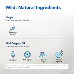 Gastronex capsules pack highlights non-GMO formula for clean nutrition.
