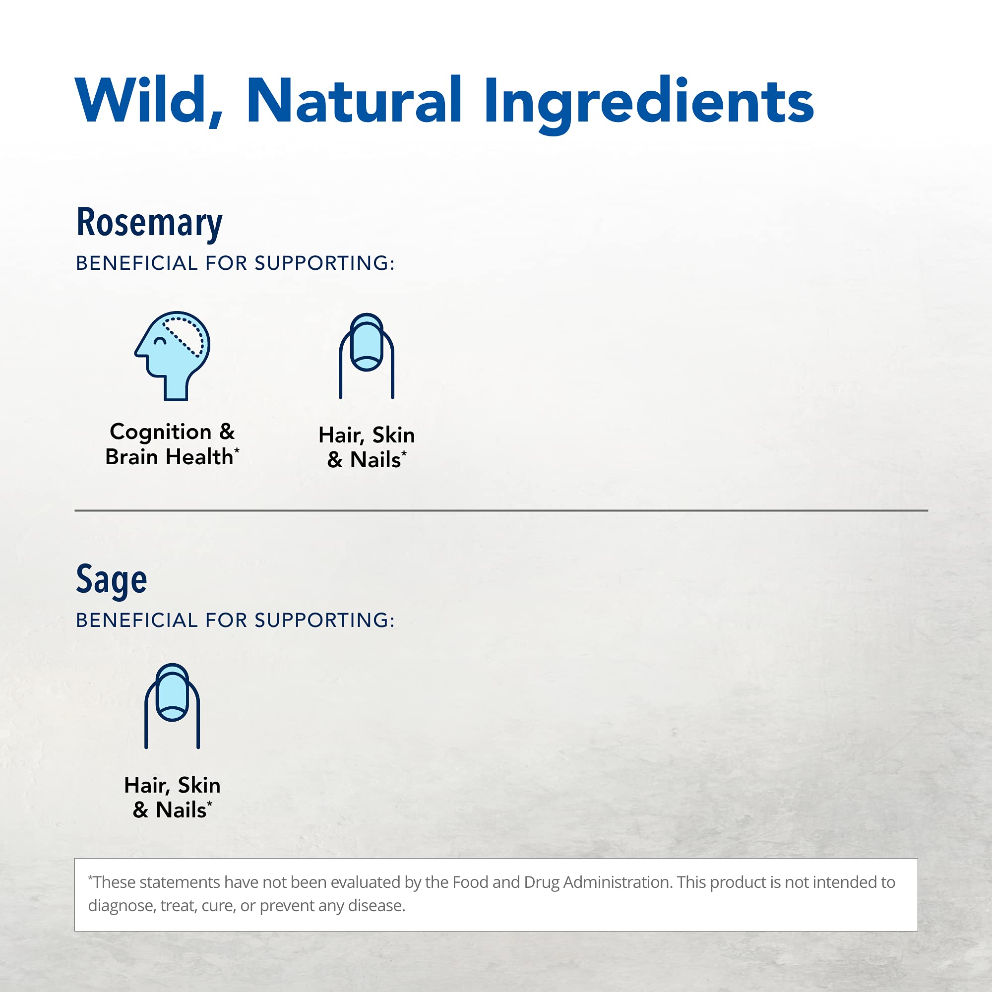 Wild oregano essence in Neuroloft adds natural brightness to daily rituals.