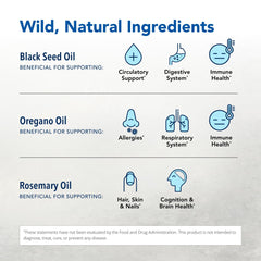 North American Herb & Spice oregano oil closeup highlighting antioxidant-rich blend and freshness