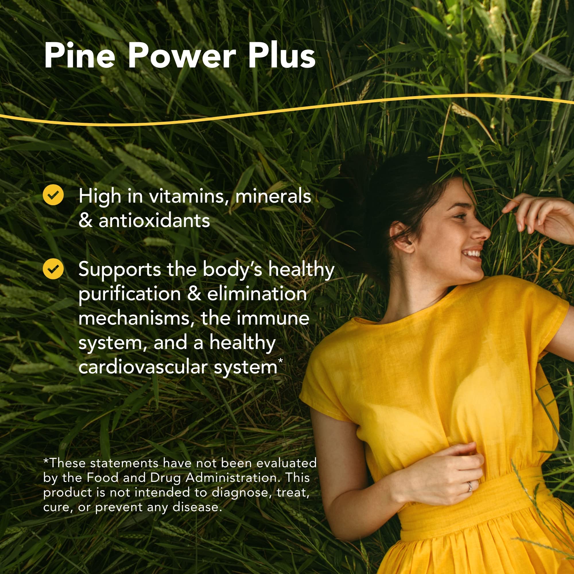 North American Herb & Spice Pine Power Plus label closeup highlighting natural ingredients.