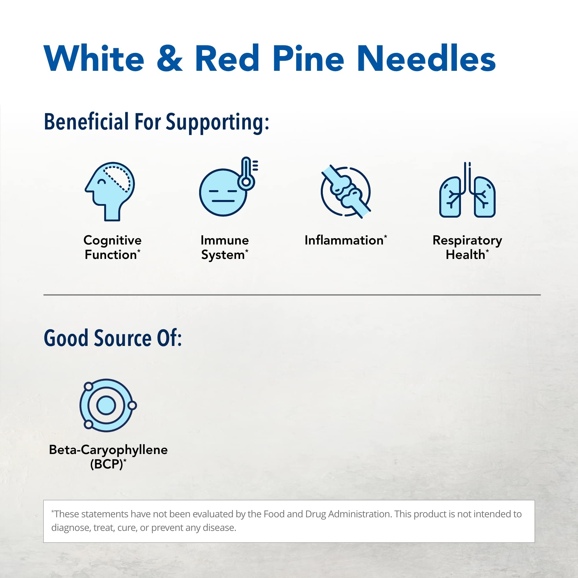 North American Herb & Spice Pine Power Plus pine needles closeup emphasizes forest-sourced nourishment.