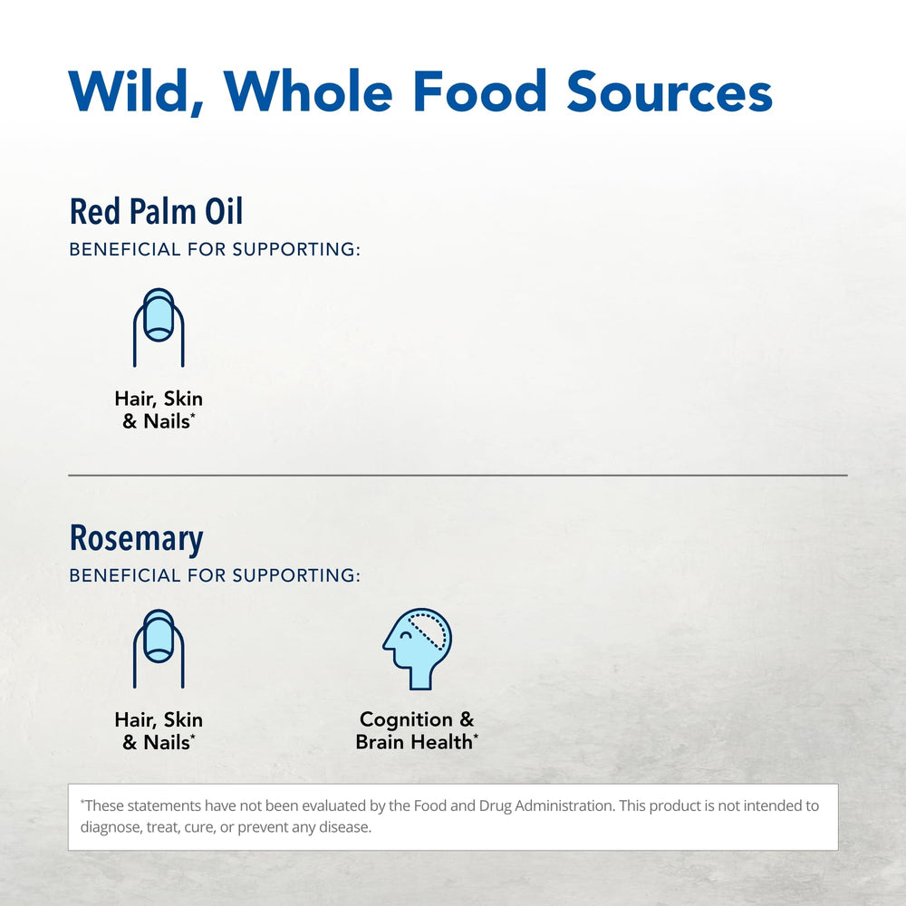 Purely-E ingredients from sunflower oil and pumpkin seeds displayed for natural vitamin E.