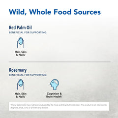 Purely-E ingredients from sunflower oil and pumpkin seeds displayed for natural vitamin E.