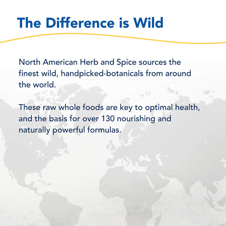 NORTH AMERICAN HERB & SPICE raw honey bottle highlights immune and bronchial use.