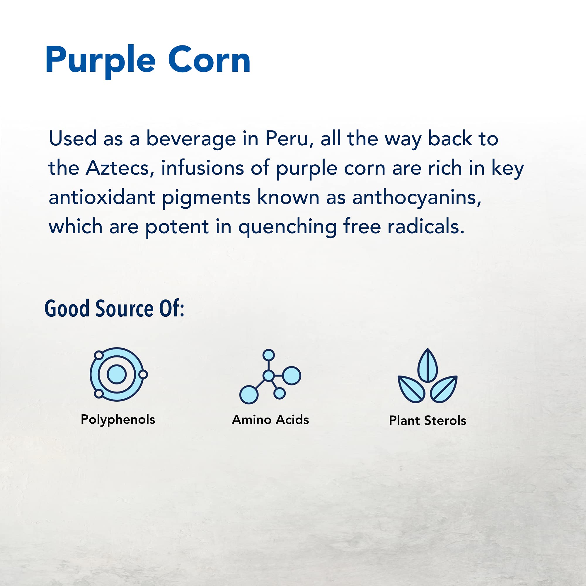 NORTH AMERICAN HERB & SPICE Mac-o-Power Plus raw purple maca extract close-up.