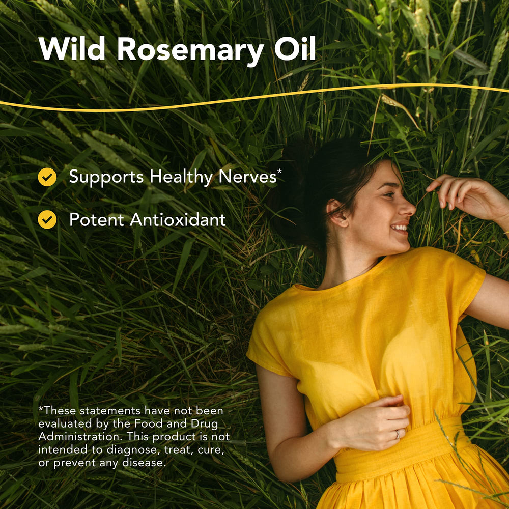 Remote-mountain rosemary plants emphasize Rosemanol's premium, wild-sourced oil for gentle topical or dietary use.