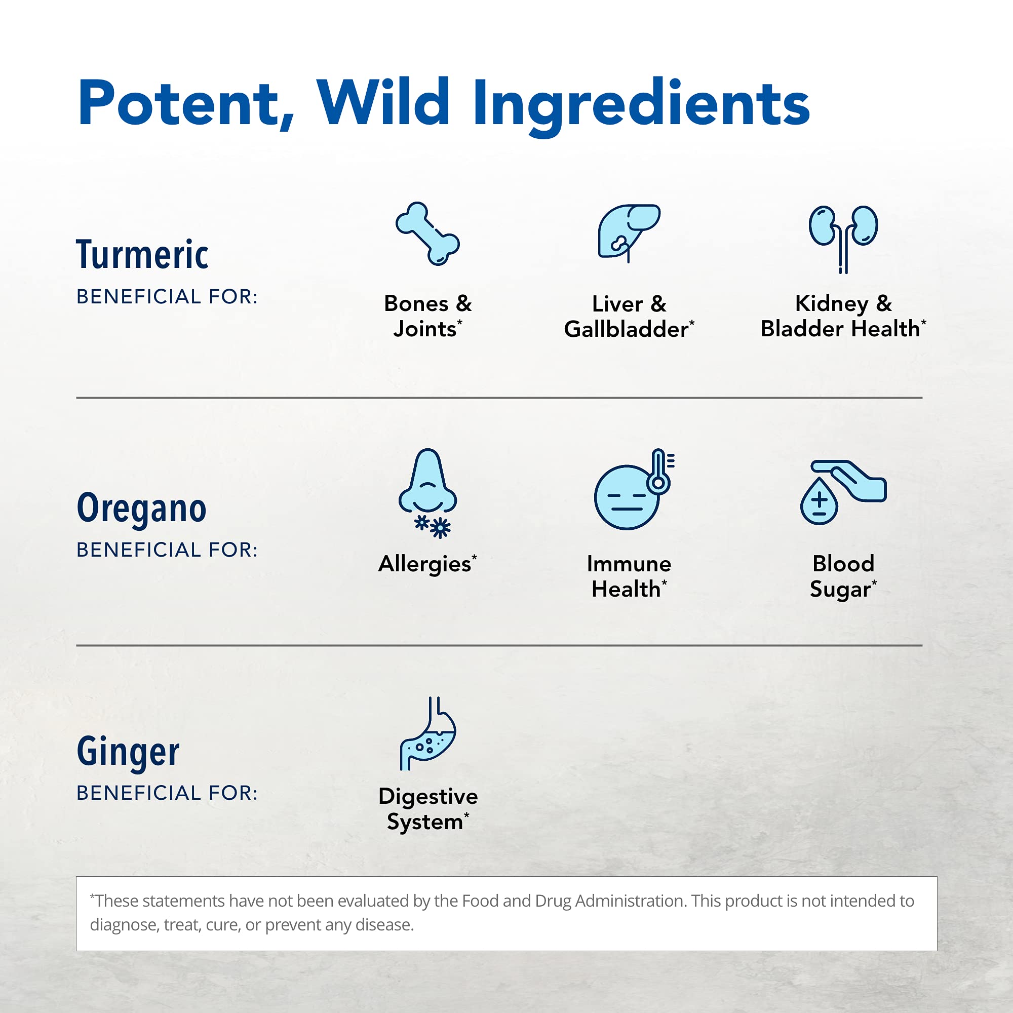 Close-up of Turmeric Power-Plus label detailing curcuminoids and essential oils