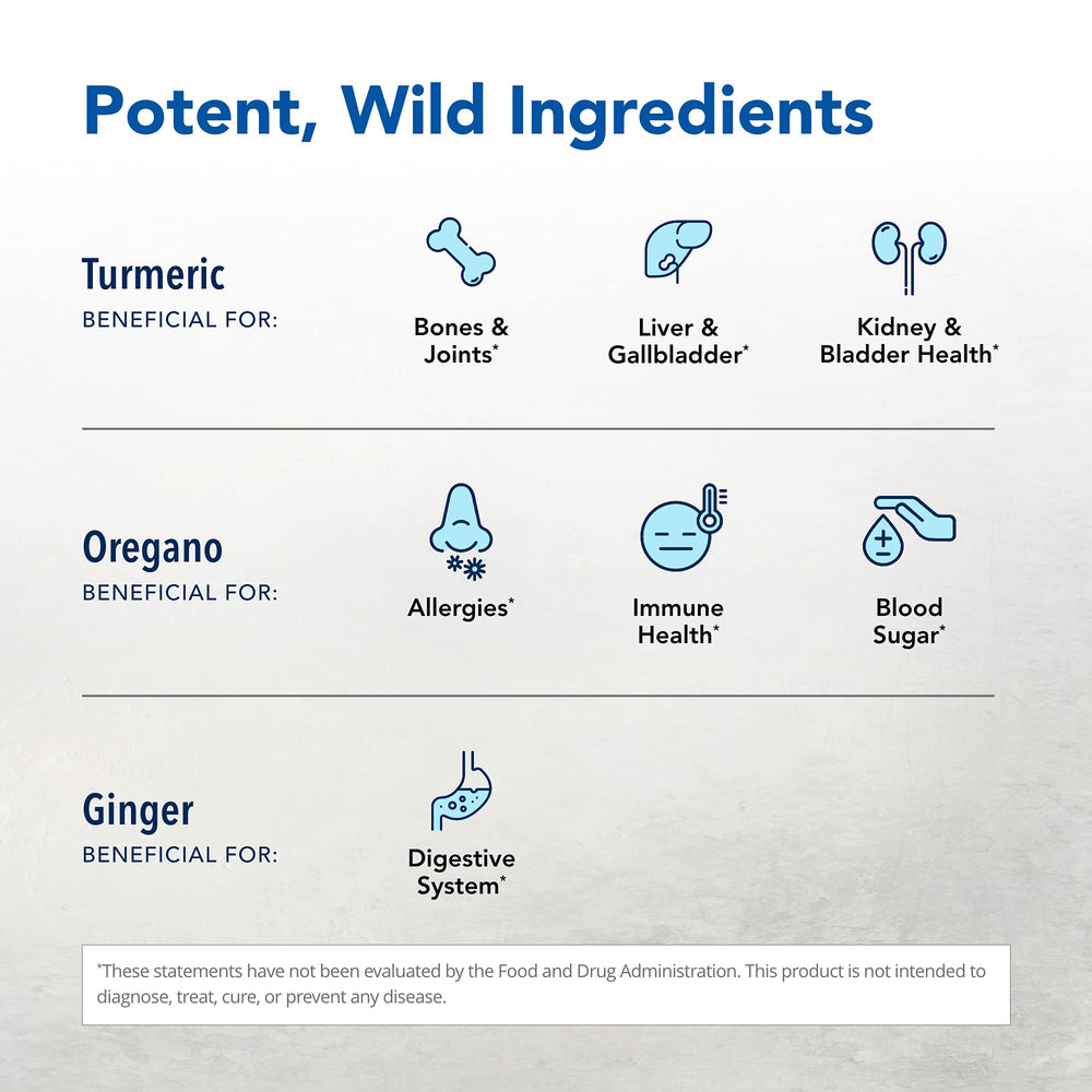 Close-up of Turmeric Power-Plus label detailing curcuminoids and essential oils