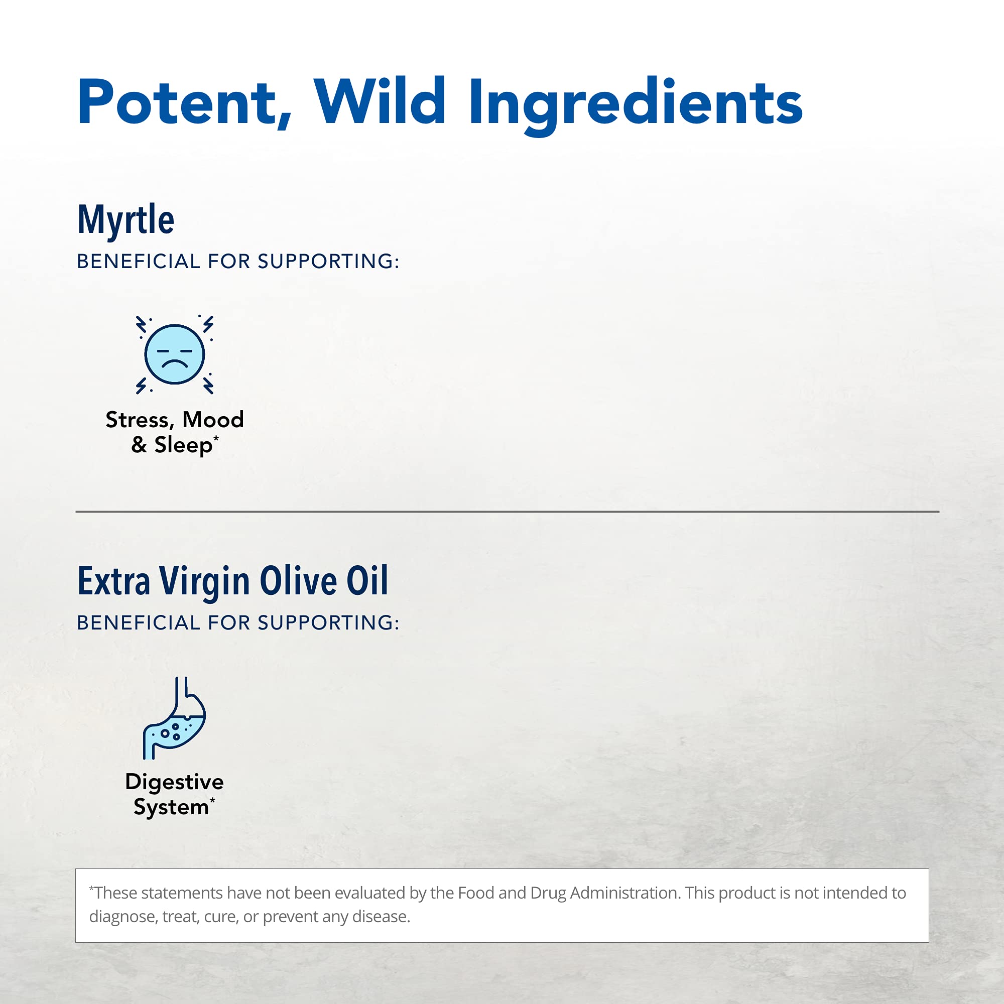 Close-up of Myrtle oil with olive oil base, non-GMO