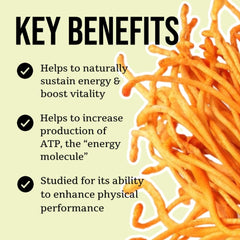 Ingredients panel of North Spore cordyceps tincture highlighting purity