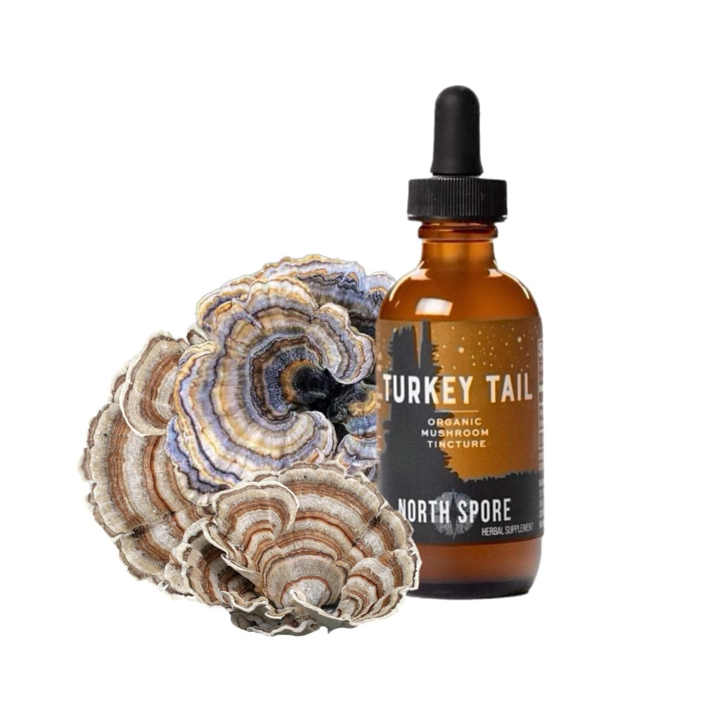 North Spore Turkey Tail Tincture bottle showcases pure, potent immune-support formula.