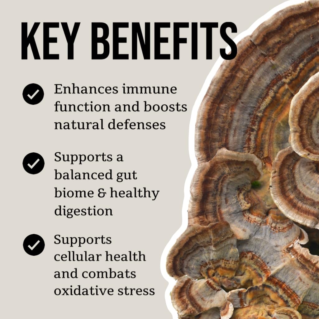 North Spore Turkey Tail Tincture pour shot demonstrates versatile use in drinks.