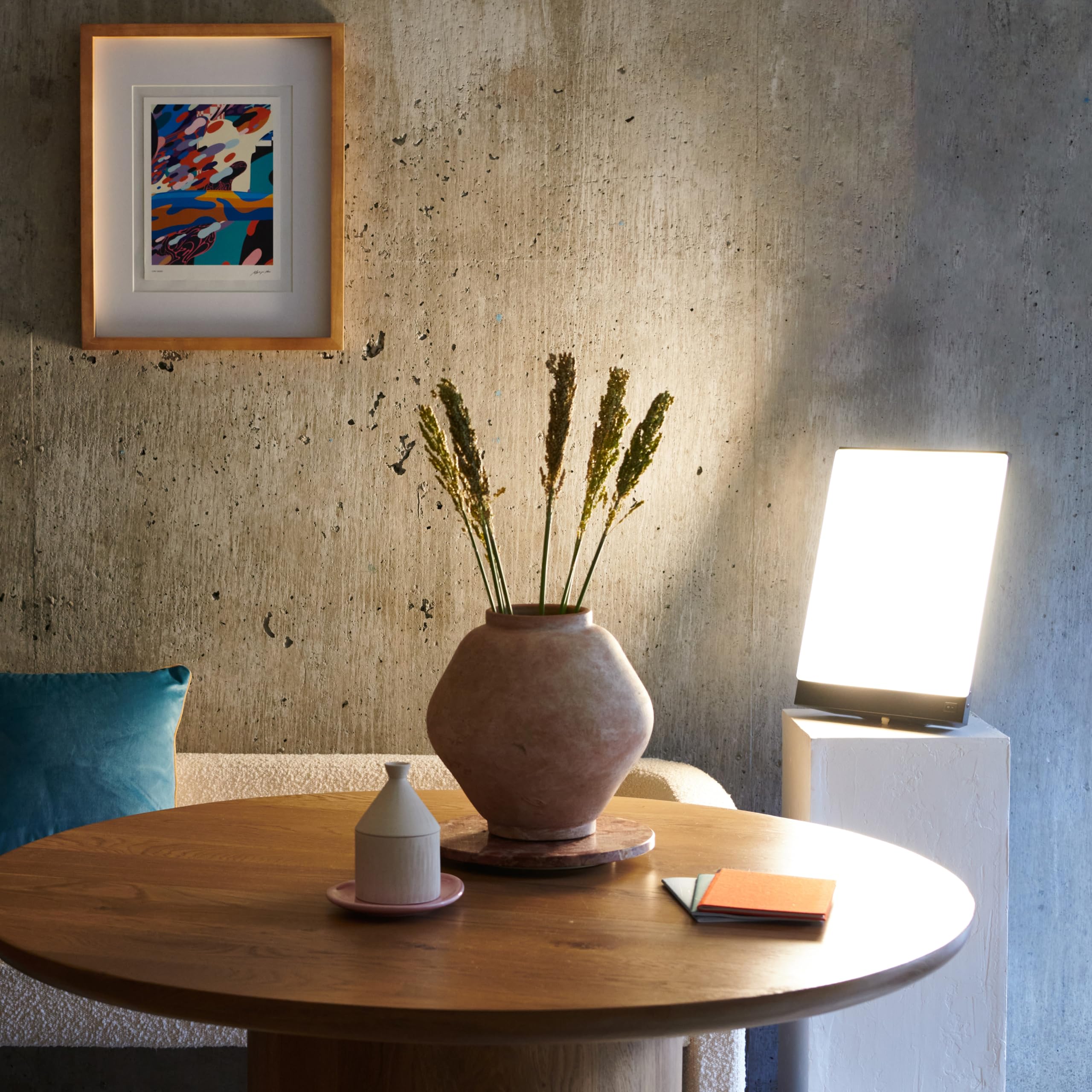 Northern Lights Boxelite diffuse, glare-free light reduces eye strain for screen time.