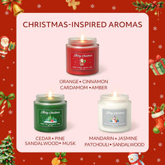 NORVENCE orange cinnamon aroma candle fueling cozy winter evenings.