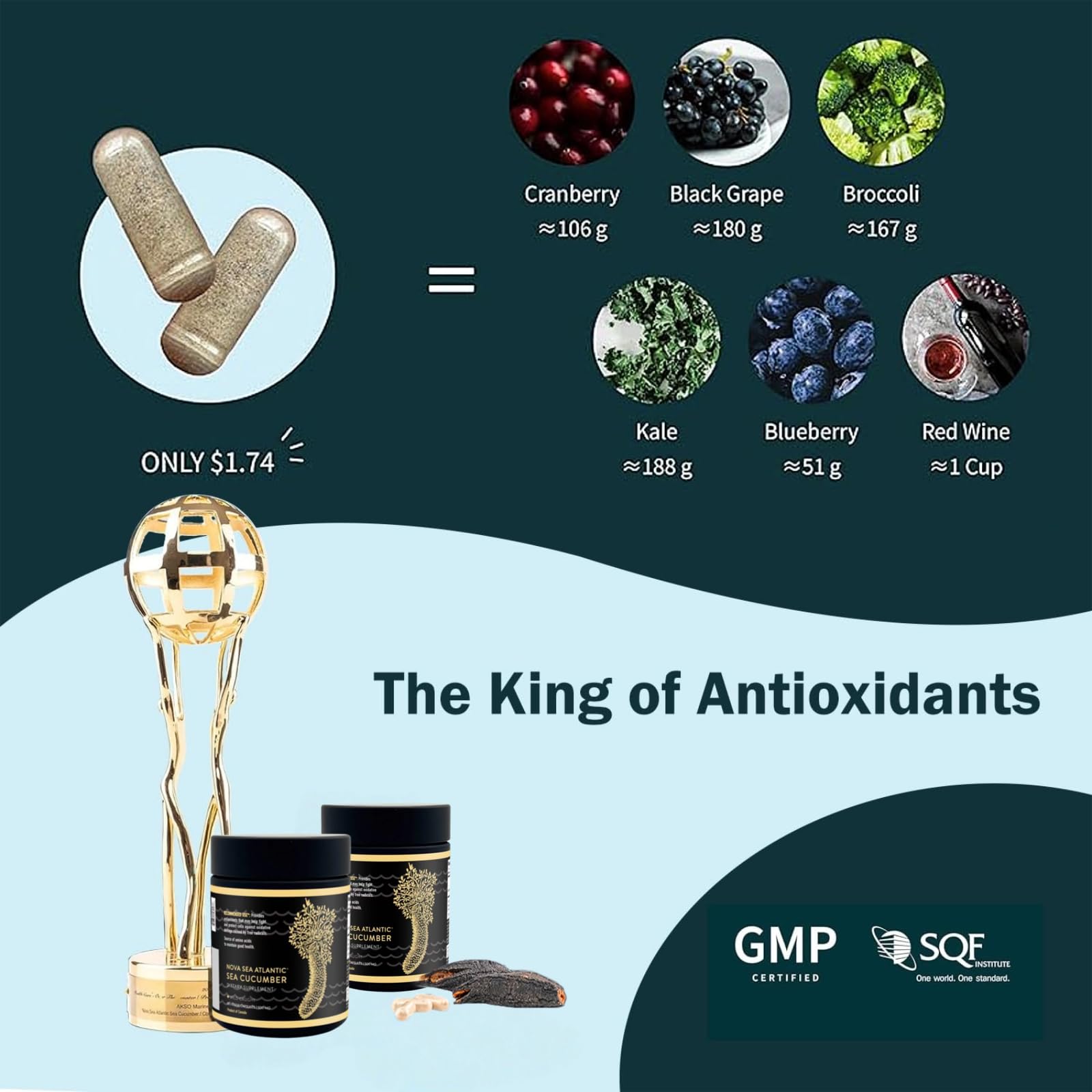 Nova Sea Atlantic frondoside-a ingredient spotlight for vitality