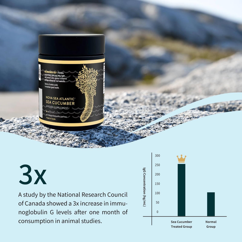 Nova Sea Atlantic immune-support graphic emphasizes nutrients from the sea