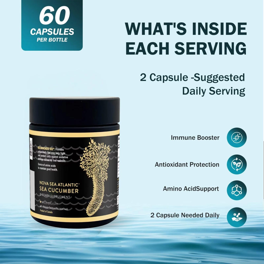 Nova Sea Atlantic joint-health illustration shows natural glucosamine and amino acids