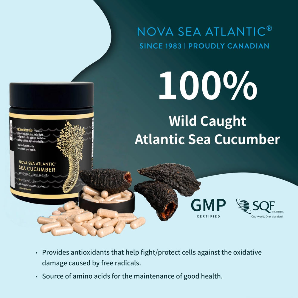 Nova Sea Atlantic sea cucumber capsules close-up highlighting natural ingredients