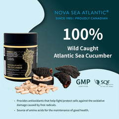 Nova Sea Atlantic sea cucumber capsules close-up highlighting natural ingredients