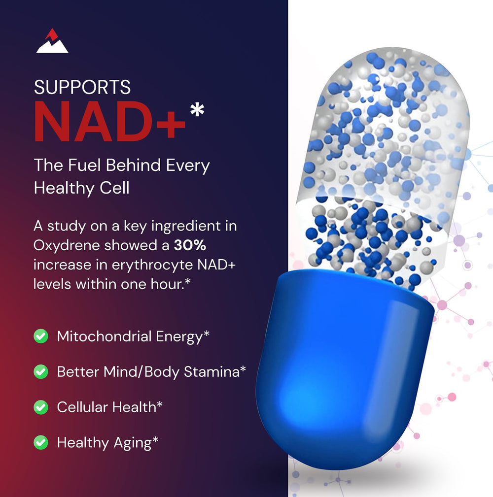 Novex Biotech Oxydrene NAD+ Enhancer packaging box communicates trusted GMP origins