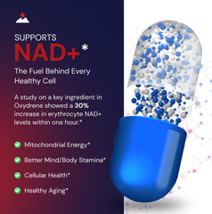Novex Biotech Oxydrene NAD+ Enhancer packaging box communicates trusted GMP origins