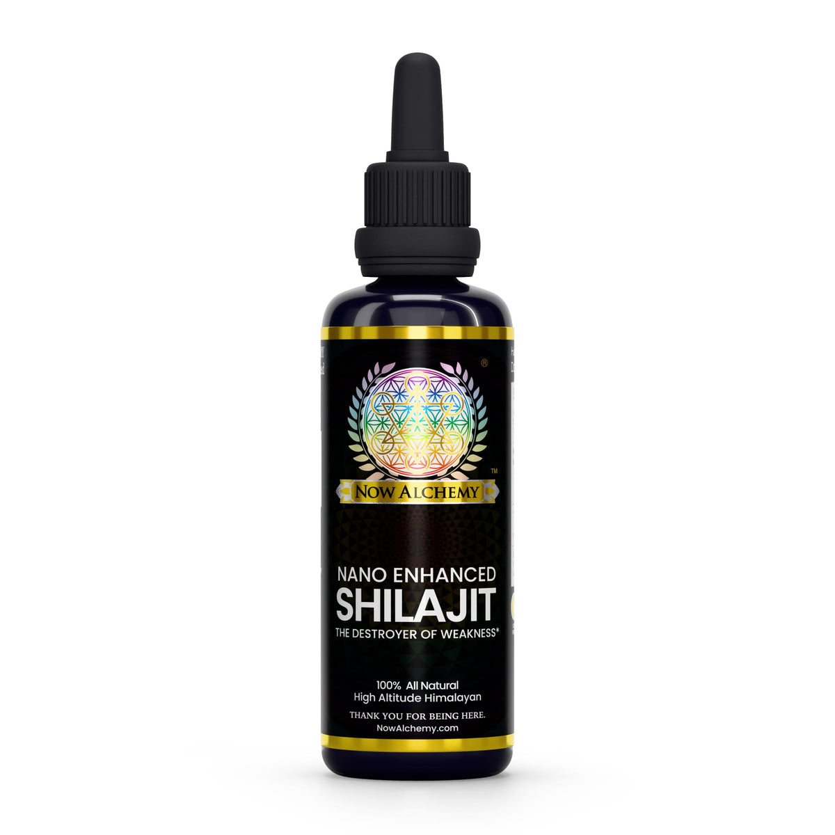 NOW ALCHEMY Nano Enhanced Shilajit Elixir bottle showing mineral-rich blend for daily vitality.
