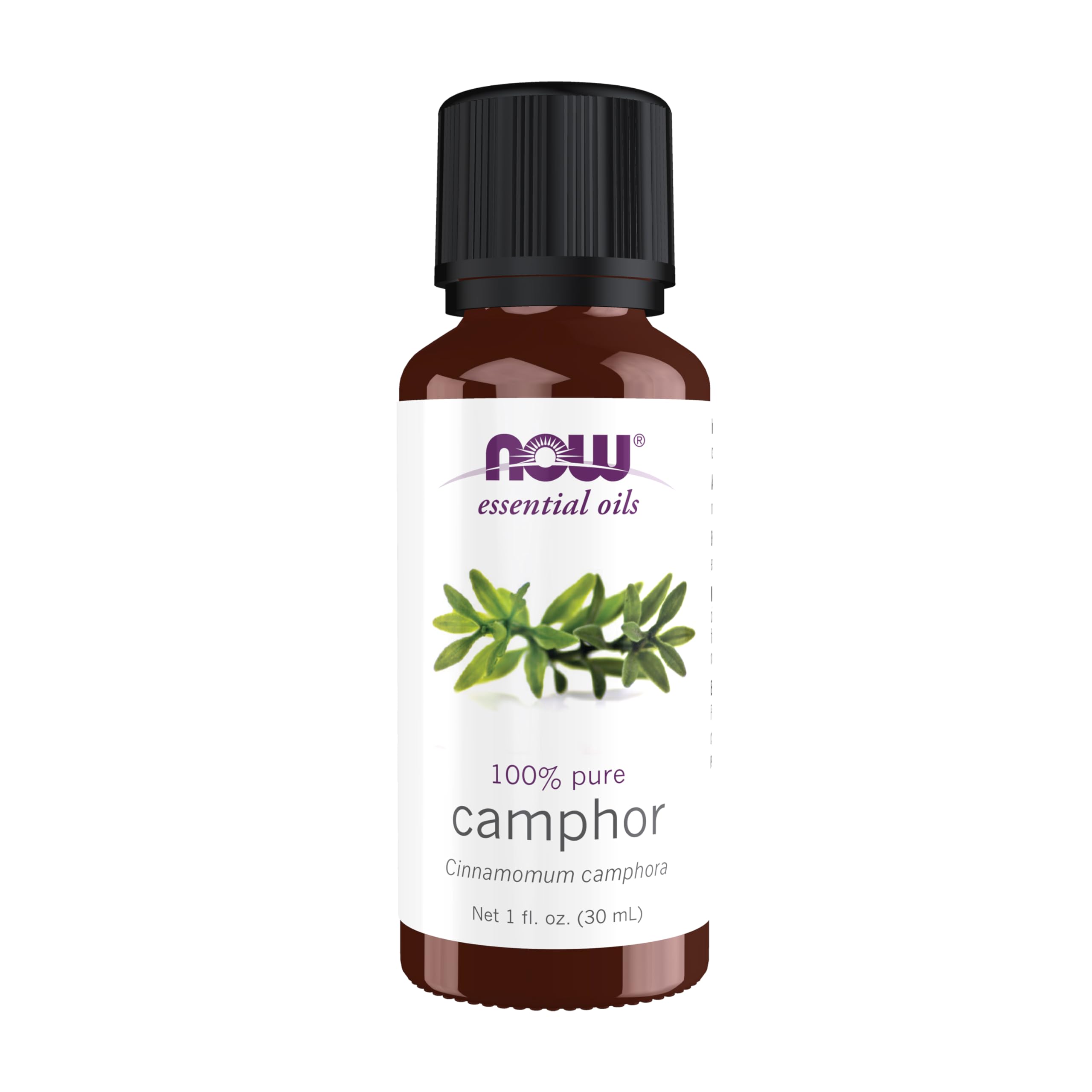 NOW Foods camphor oil bottle—invigorating aroma for diffusers.