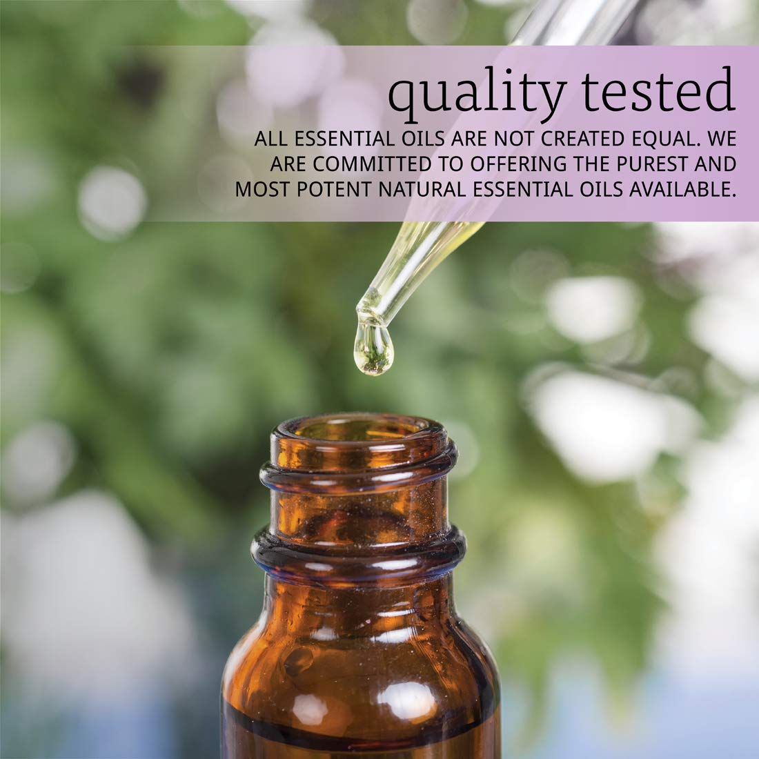NOW Foods Camphor Oil label closeup with purity testing stamp