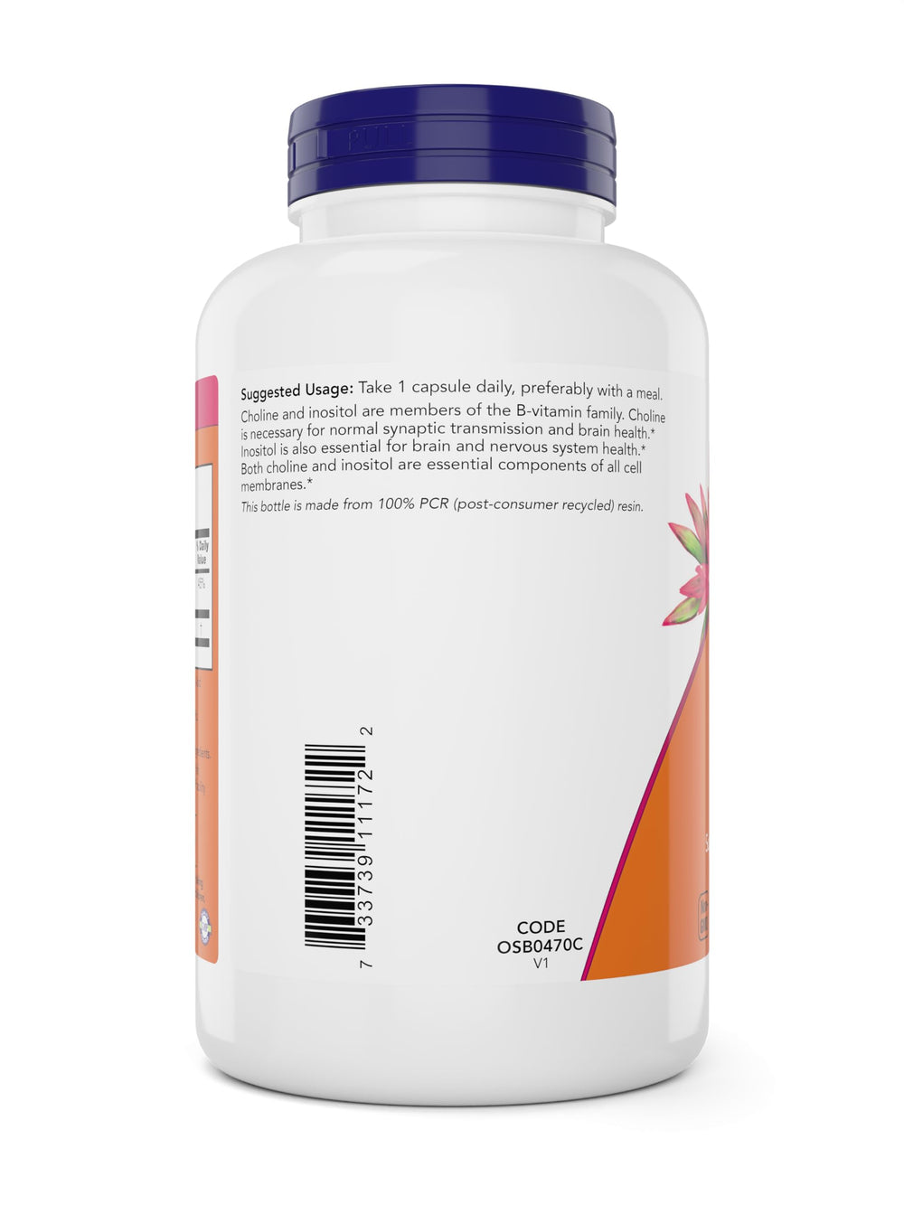 NOW Foods Choline & Inositol ingredients panel highlights allergen information