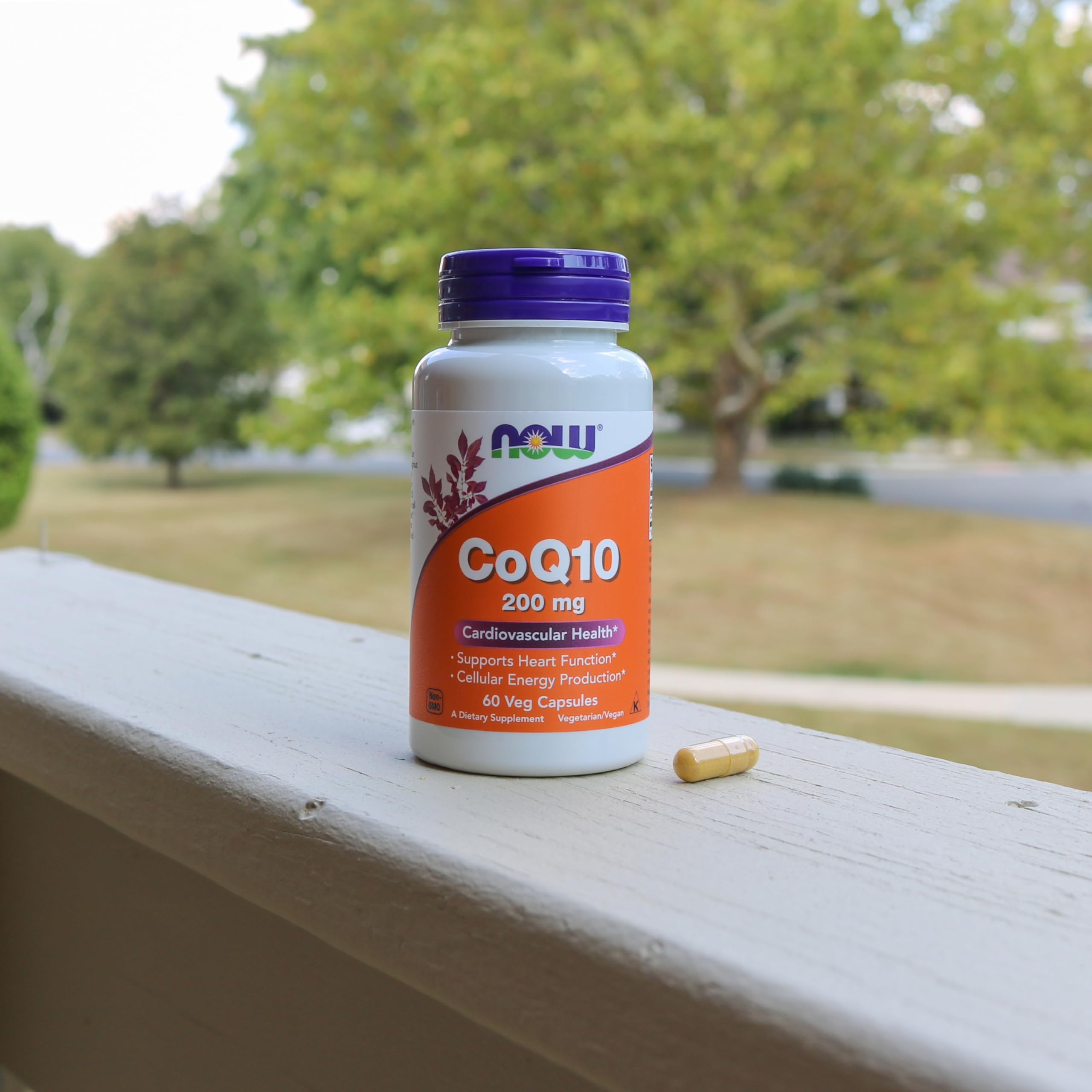 NOW Foods CoQ10 ingredients panel close-up showing natural fermentation source