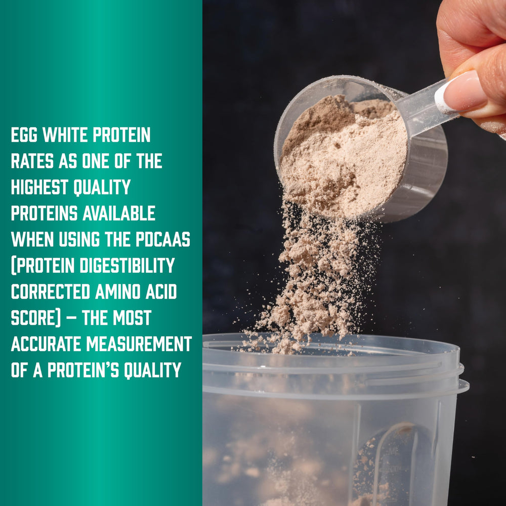 NOW Foods Egg White Protein smoothie ideas for easy recipes.