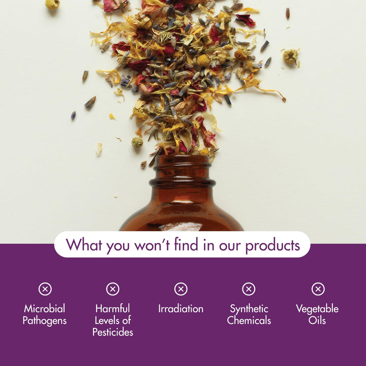 NOW Foods Nature's Shield usage scene demonstrates diffuser in a cozy living space.