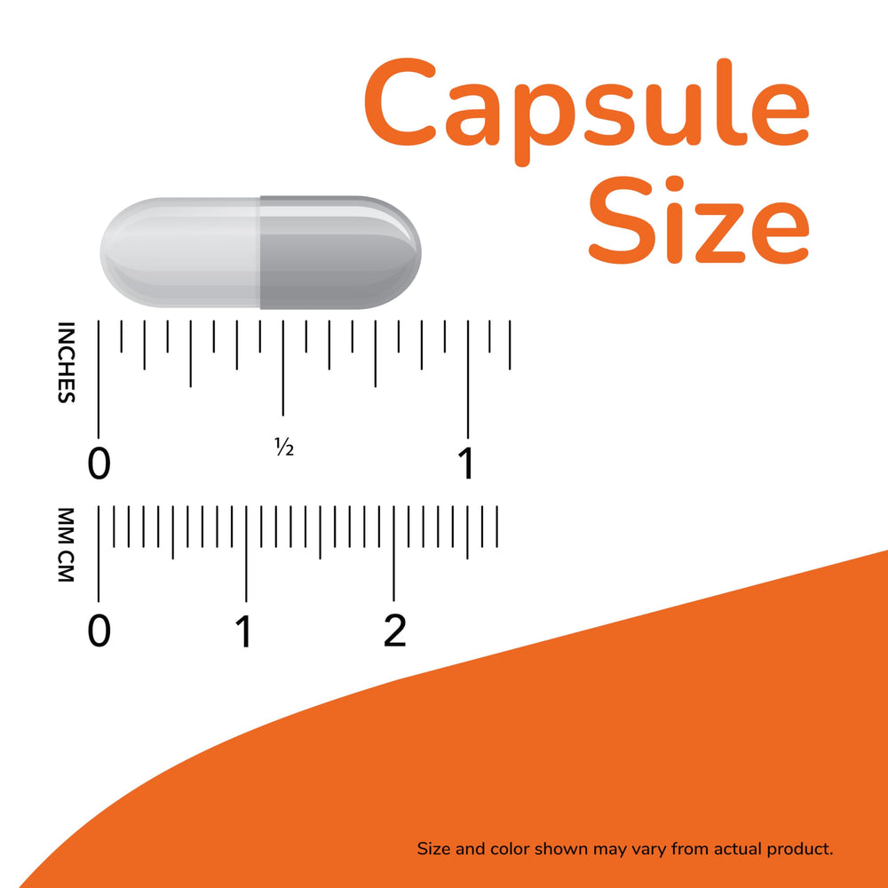 NOW Foods L-Ornithine capsules close-up highlighting capsule texture and color.
