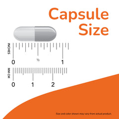 NOW Foods L-Ornithine capsules close-up highlighting capsule texture and color.