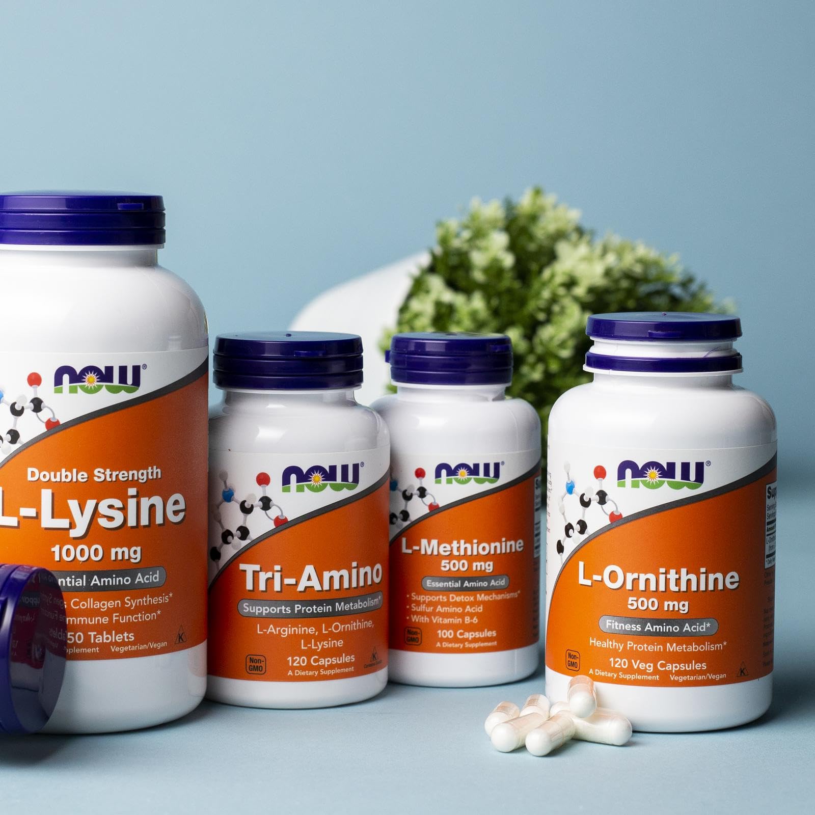 NOW Foods L-Ornithine box showing non-GMO seal and vegan status.