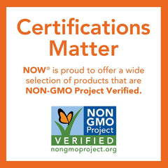 NOW Foods sunflower lecithin powder container back highlighting ingredients and certifications