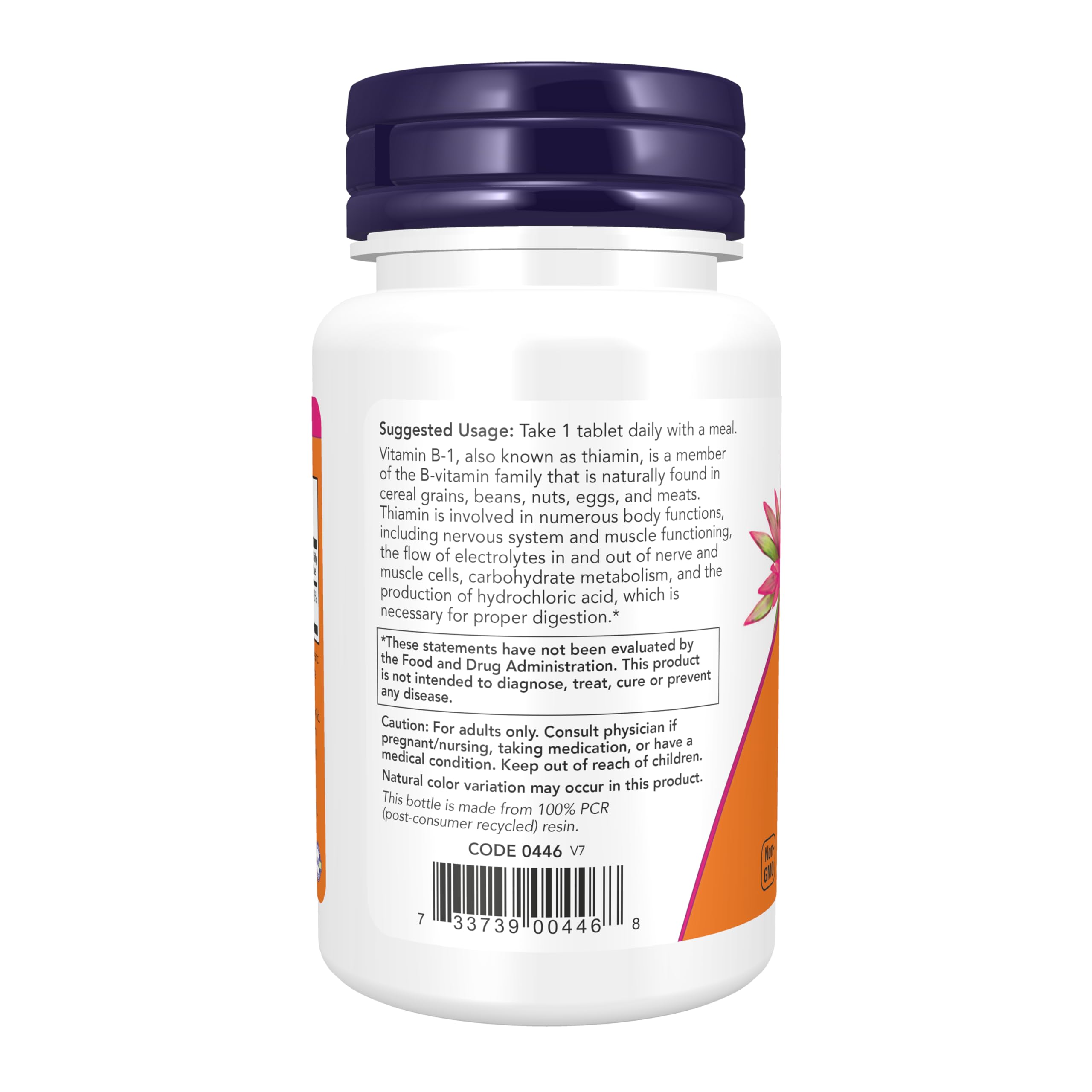 NOW Foods Vitamina B-1 tiamina 100 mg, etiqueta del frasco con dosis y posibles beneficios.