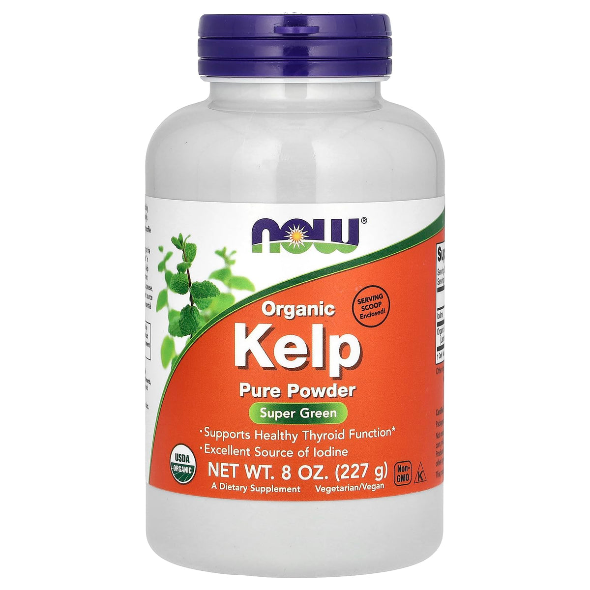 NOW Foods kelp powder jar, organic 8 oz packaging, ideal for smoothies and recipes.