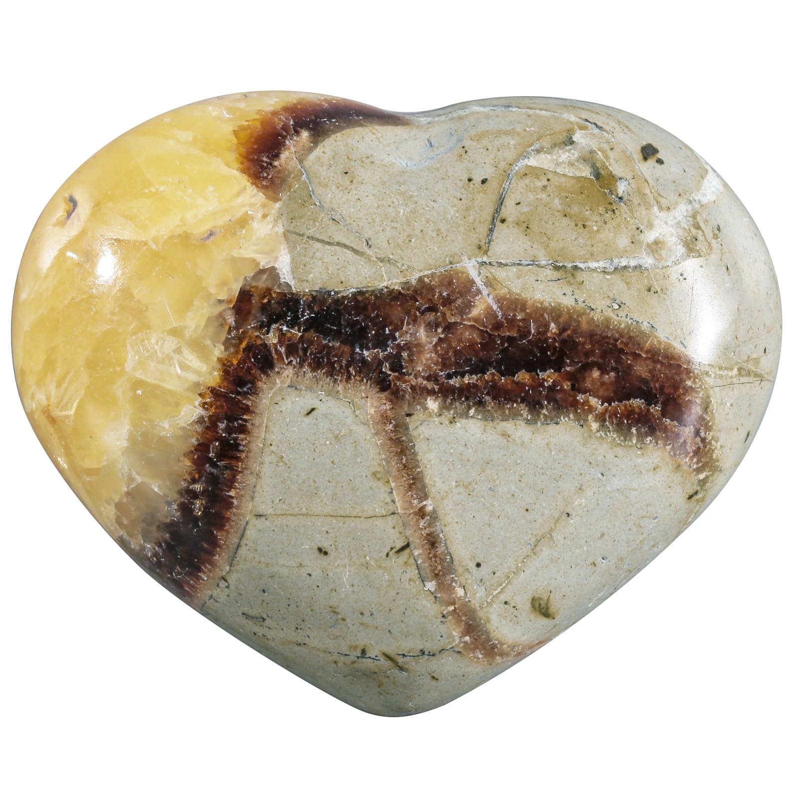Nupuyai septarian dragon heart stone close-up showing dragon-scale texture for meditation focus