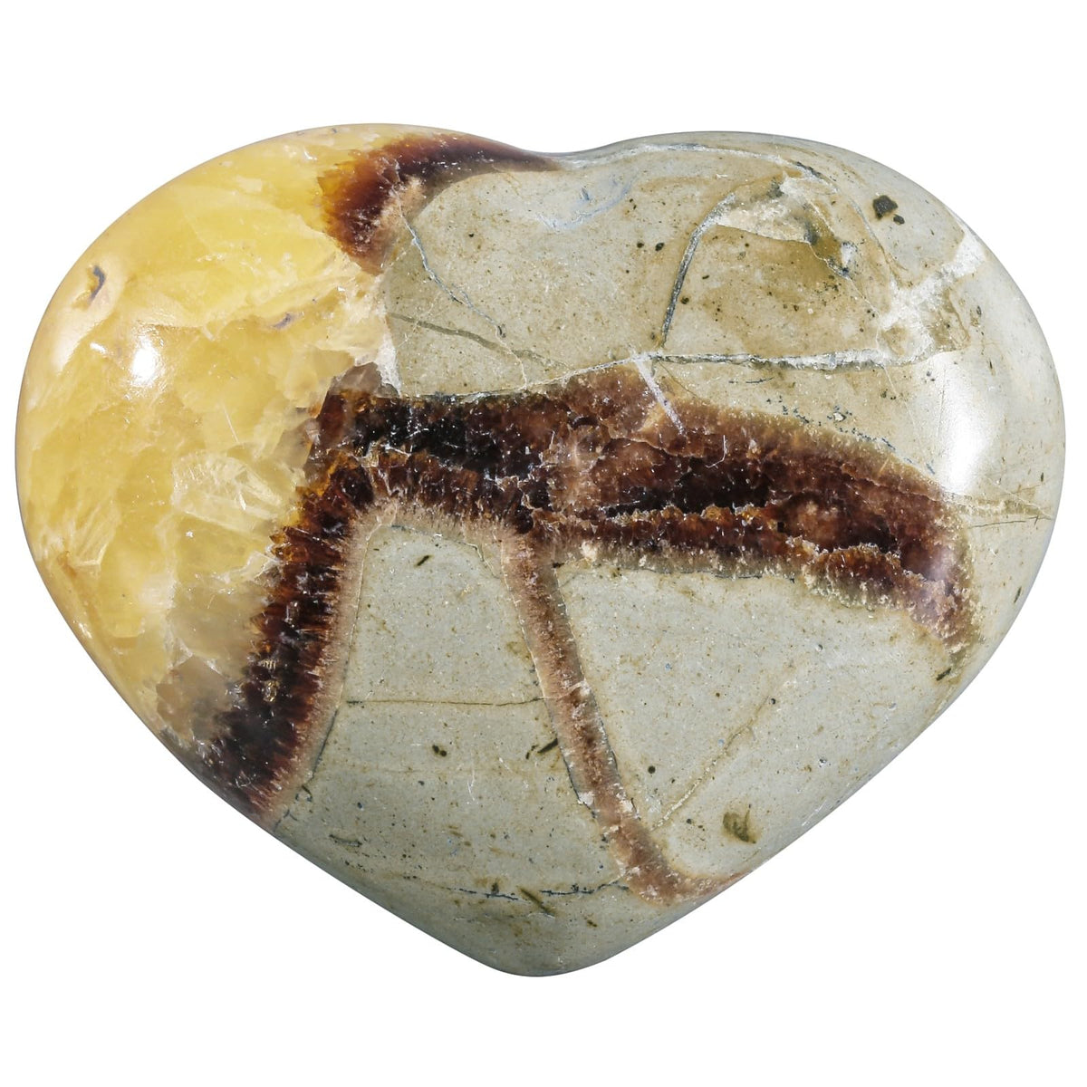 Nupuyai septarian dragon heart stone close-up showing dragon-scale texture for meditation focus